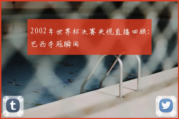 2002年世界杯决赛央视直播回顾：巴西夺冠瞬间