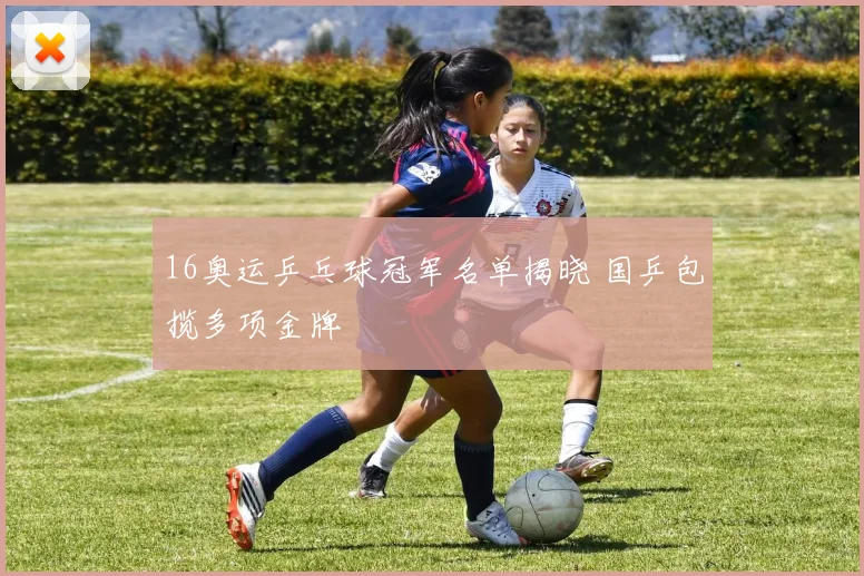 16奥运乒乓球冠军名单揭晓 国乒包揽多项金牌