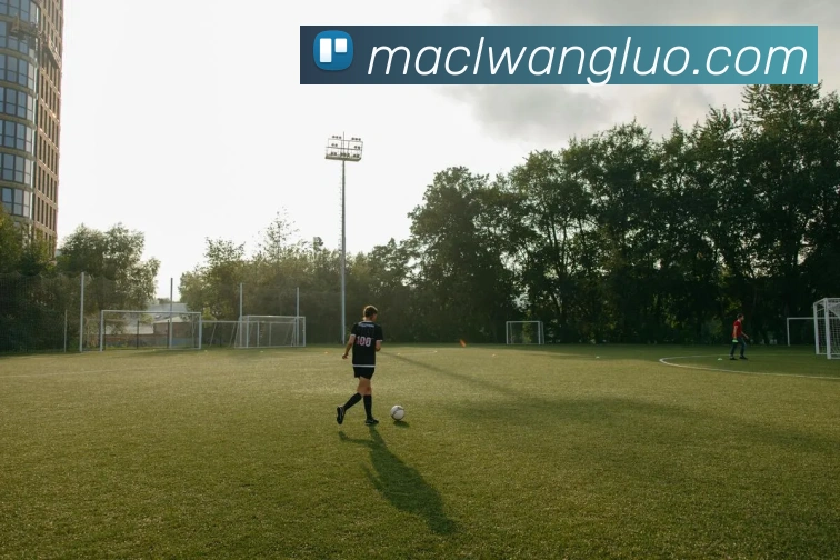 mksports官方登录入口服务体系